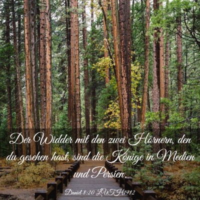 Picture 03 - Daniel 8:20 LUTH1912 - Der Widder mit den zwei Hörnern, den du gesehen - Bible Verse Picture