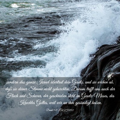 Picture 03 - Daniel 9:11 LUTH1912 - sondern das ganze Israel übertrat dein Gesetz, - Bible Verse Picture