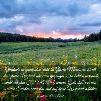 Picture 03 - Daniel 9:13 LUTH1912 - Gleichwie es geschrieben steht im Gesetz Mose's, - Bible Verse Picture