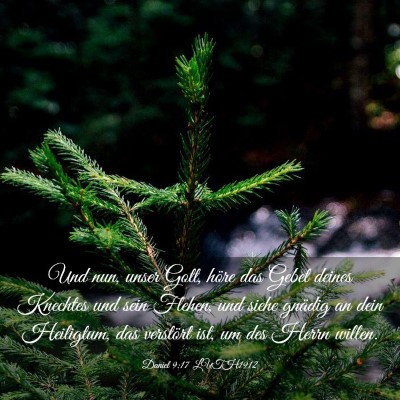 Picture 03 - Daniel 9:17 LUTH1912 - Und nun, unser Gott, höre das Gebet deines - Bible Verse Picture