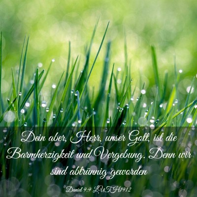Picture 03 - Daniel 9:9 LUTH1912 - Dein aber, Herr, unser Gott, ist die - Bible Verse Picture