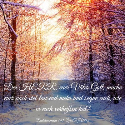 Picture 03 - Deuteronomium 1:11 LUTH1912 - Der HERR, euer Väter Gott, mache euer noch viel - Bible Verse Picture