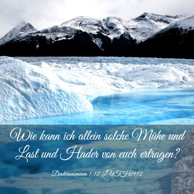 Picture 03 - Deuteronomium 1:12 LUTH1912 - Wie kann ich allein solche Mühe und Last und - Bible Verse Picture