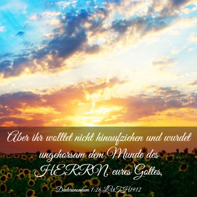 Picture 03 - Deuteronomium 1:26 LUTH1912 - Aber ihr wolltet nicht hinaufziehen und wurdet - Bible Verse Picture