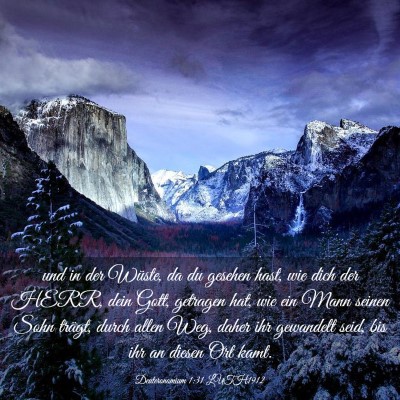 Picture 03 - Deuteronomium 1:31 LUTH1912 - und in der Wüste, da du gesehen hast, wie dich - Bible Verse Picture