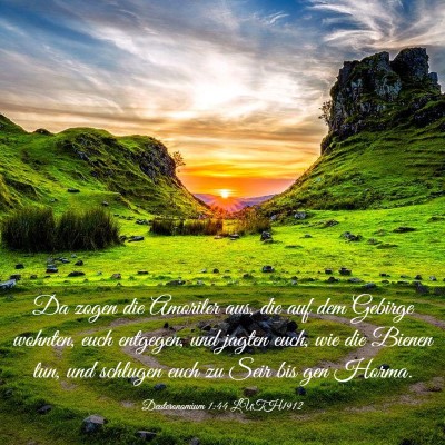 Picture 03 - Deuteronomium 1:44 LUTH1912 - Da zogen die Amoriter aus, die auf dem Gebirge - Bible Verse Picture