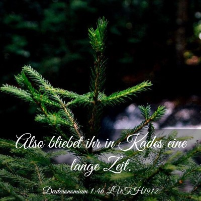 Picture 03 - Deuteronomium 1:46 LUTH1912 - Also bliebet ihr in Kades eine lange - Bible Verse Picture