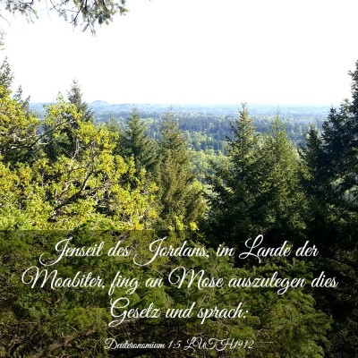 Picture 03 - Deuteronomium 1:5 LUTH1912 - Jenseit des Jordans, im Lande der Moabiter, fing - Bible Verse Picture