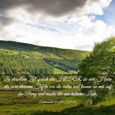 Picture 03 - Deuteronomium 10:1 LUTH1912 - Zu derselben Zeit sprach der HERR zu mir: Haue - Bible Verse Picture