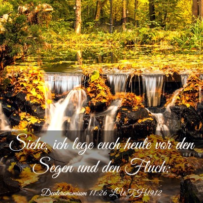 Picture 03 - Deuteronomium 11:26 LUTH1912 - Siehe, ich lege euch heute vor den Segen und den - Bible Verse Picture