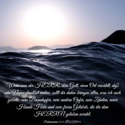 Picture 03 - Deuteronomium 12:11 LUTH1912 - Wenn nun der HERR, dein Gott, einen Ort erwählt, - Bible Verse Picture