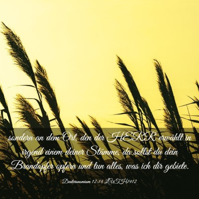 Picture 03 - Deuteronomium 12:14 LUTH1912 - sondern an dem Ort, den der HERR erwählt in - Bible Verse Picture