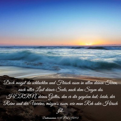 Picture 03 - Deuteronomium 12:15 LUTH1912 - Doch magst du schlachten und Fleisch essen in - Bible Verse Picture