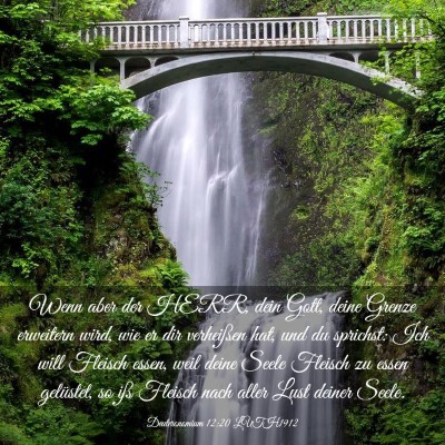 Picture 03 - Deuteronomium 12:20 LUTH1912 - Wenn aber der HERR, dein Gott, deine Grenze - Bible Verse Picture