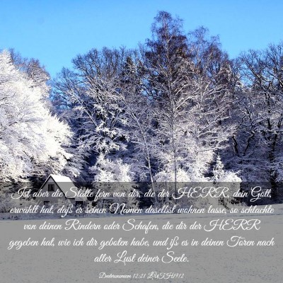 Picture 03 - Deuteronomium 12:21 LUTH1912 - Ist aber die Stätte fern von dir, die der HERR, - Bible Verse Picture