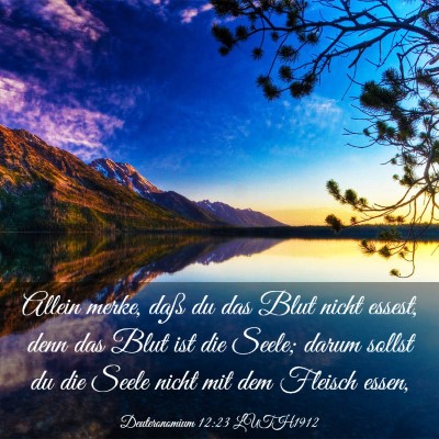 Picture 03 - Deuteronomium 12:23 LUTH1912 - Allein merke, daß du das Blut nicht essest, denn - Bible Verse Picture