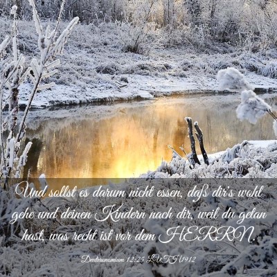 Picture 03 - Deuteronomium 12:25 LUTH1912 - Und sollst es darum nicht essen, daß dir's wohl - Bible Verse Picture