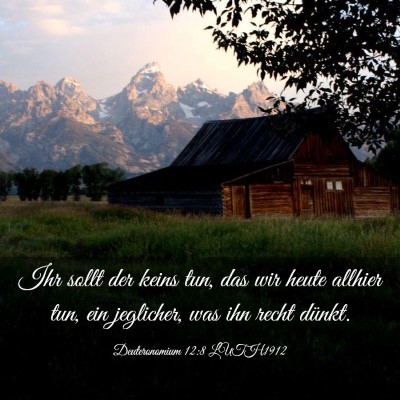 Picture 03 - Deuteronomium 12:8 LUTH1912 - Ihr sollt der keins tun, das wir heute allhier - Bible Verse Picture