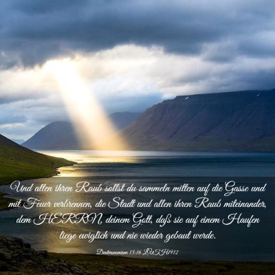 Picture 03 - Deuteronomium 13:16 LUTH1912 - Und allen ihren Raub sollst du sammeln mitten auf - Bible Verse Picture