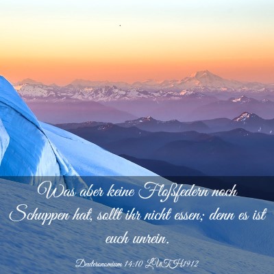Picture 03 - Deuteronomium 14:10 LUTH1912 - Was aber keine Floßfedern noch Schuppen hat, - Bible Verse Picture
