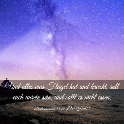 Picture 03 - Deuteronomium 14:19 LUTH1912 - Und alles was Flügel hat und kriecht, soll euch - Bible Verse Picture