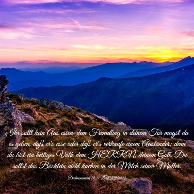 Picture 03 - Deuteronomium 14:21 LUTH1912 - Ihr sollt kein Aas essen-dem Fremdling in deinem - Bible Verse Picture