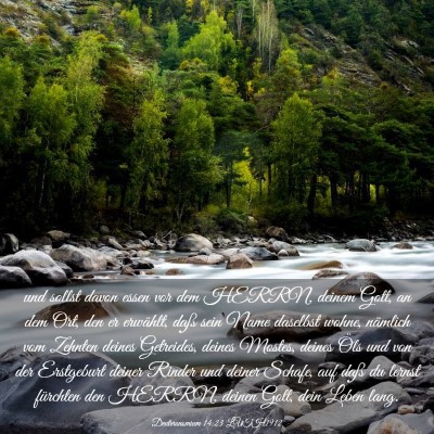 Picture 03 - Deuteronomium 14:23 LUTH1912 - und sollst davon essen vor dem HERRN, deinem - Bible Verse Picture