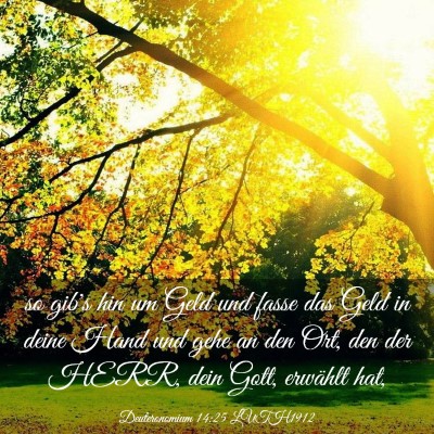 Picture 03 - Deuteronomium 14:25 LUTH1912 - so gib's hin um Geld und fasse das Geld in deine - Bible Verse Picture