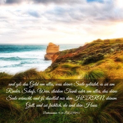 Picture 03 - Deuteronomium 14:26 LUTH1912 - und gib das Geld um alles, was deiner Seele - Bible Verse Picture