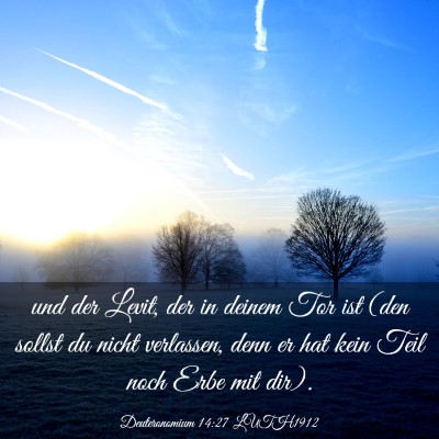 Picture 03 - Deuteronomium 14:27 LUTH1912 - und der Levit, der in deinem Tor ist (den sollst - Bible Verse Picture