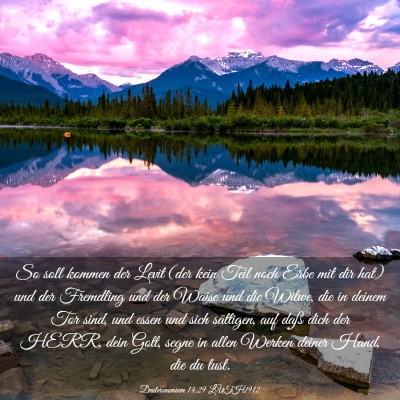 Picture 03 - Deuteronomium 14:29 LUTH1912 - So soll kommen der Levit (der kein Teil noch Erbe - Bible Verse Picture