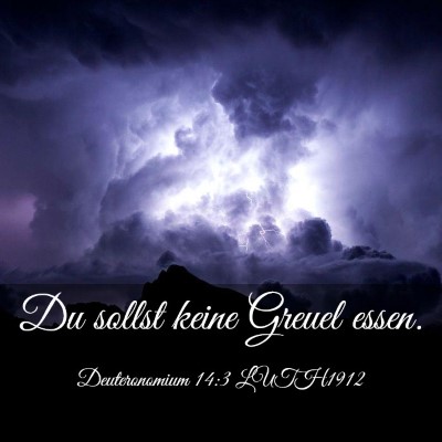 Picture 03 - Deuteronomium 14:3 LUTH1912 - Du sollst keine Greuel - Bible Verse Picture