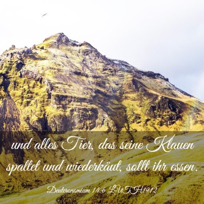 Picture 03 - Deuteronomium 14:6 LUTH1912 - und alles Tier, das seine Klauen spaltet und - Bible Verse Picture