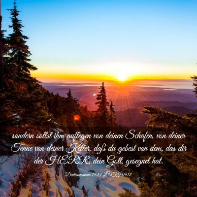 Picture 03 - Deuteronomium 15:14 LUTH1912 - sondern sollst ihm auflegen von deinen Schafen, - Bible Verse Picture