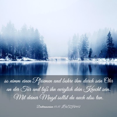 Picture 03 - Deuteronomium 15:17 LUTH1912 - so nimm einen Pfriemen und bohre ihm durch sein - Bible Verse Picture