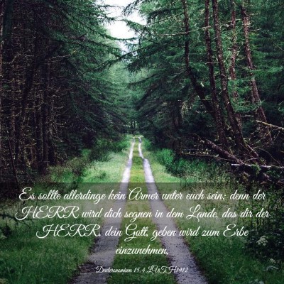 Picture 03 - Deuteronomium 15:4 LUTH1912 - Es sollte allerdinge kein Armer unter euch sein; - Bible Verse Picture