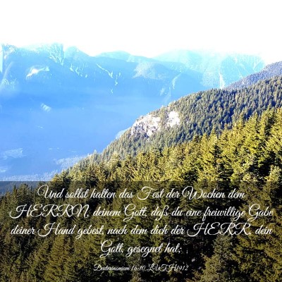 Picture 03 - Deuteronomium 16:10 LUTH1912 - Und sollst halten das Fest der Wochen dem HERRN, - Bible Verse Picture