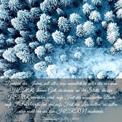 Picture 03 - Deuteronomium 16:16 LUTH1912 - Dreimal des Jahres soll alles, was männlich ist - Bible Verse Picture