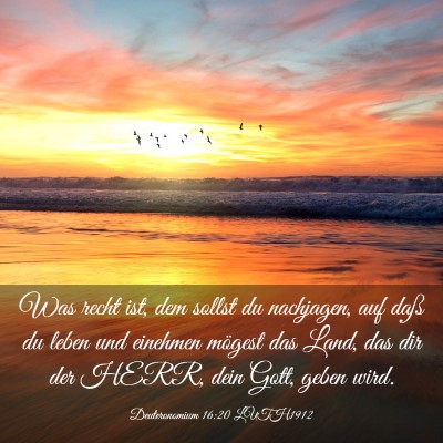 Picture 03 - Deuteronomium 16:20 LUTH1912 - Was recht ist, dem sollst du nachjagen, auf daß - Bible Verse Picture