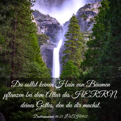 Picture 03 - Deuteronomium 16:21 LUTH1912 - Du sollst keinen Hain von Bäumen pflanzen bei - Bible Verse Picture