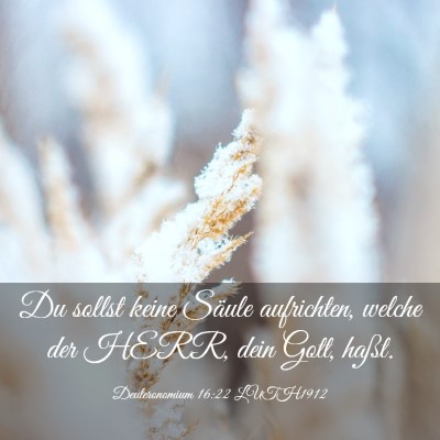 Picture 03 - Deuteronomium 16:22 LUTH1912 - Du sollst keine Säule aufrichten, welche der - Bible Verse Picture