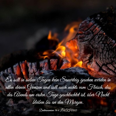 Picture 03 - Deuteronomium 16:4 LUTH1912 - Es soll in sieben Tagen kein Sauerteig gesehen - Bible Verse Picture