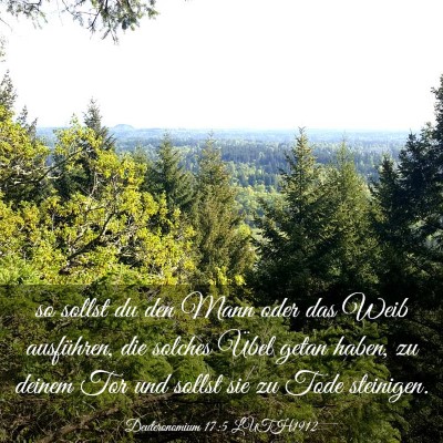 Picture 03 - Deuteronomium 17:5 LUTH1912 - so sollst du den Mann oder das Weib ausführen, - Bible Verse Picture