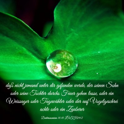 Picture 03 - Deuteronomium 18:10 LUTH1912 - daß nicht jemand unter dir gefunden werde, der - Bible Verse Picture