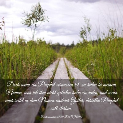 Picture 03 - Deuteronomium 18:20 LUTH1912 - Doch wenn ein Prophet vermessen ist, zu reden in - Bible Verse Picture
