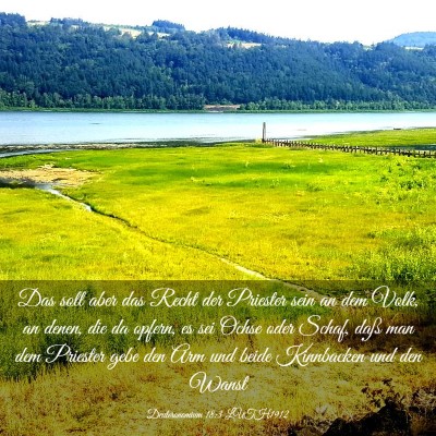 Picture 03 - Deuteronomium 18:3 LUTH1912 - Das soll aber das Recht der Priester sein an dem - Bible Verse Picture