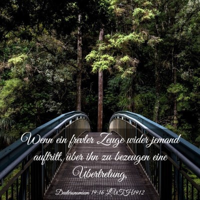Picture 03 - Deuteronomium 19:16 LUTH1912 - Wenn ein frevler Zeuge wider jemand auftritt, - Bible Verse Picture