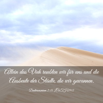 Picture 03 - Deuteronomium 2:35 LUTH1912 - Allein das Vieh raubten wir für uns und die - Bible Verse Picture