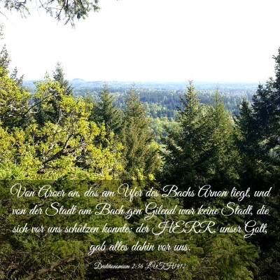 Picture 03 - Deuteronomium 2:36 LUTH1912 - Von Aroer an, das am Ufer des Bachs Arnon liegt, - Bible Verse Picture