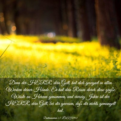 Picture 03 - Deuteronomium 2:7 LUTH1912 - Denn der HERR, dein Gott, hat dich gesegnet in - Bible Verse Picture